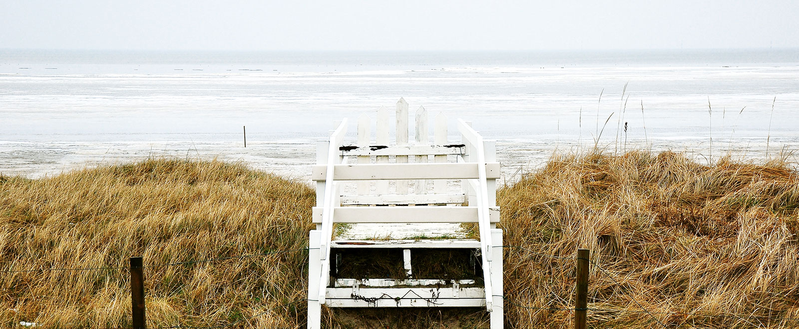 CC在线压力测试