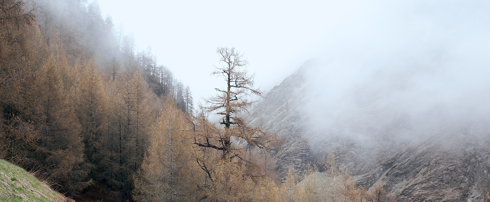网页在线DDOS压力测试