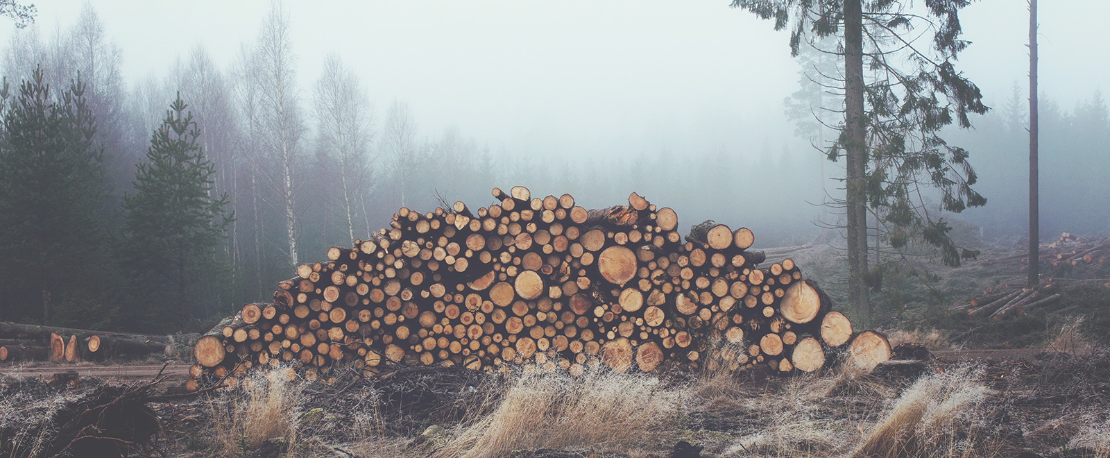 在线服务便捷的ddos网页端